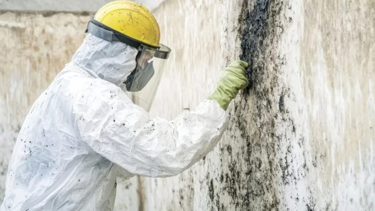 Technician in protective gear cleaning black mold from a wall