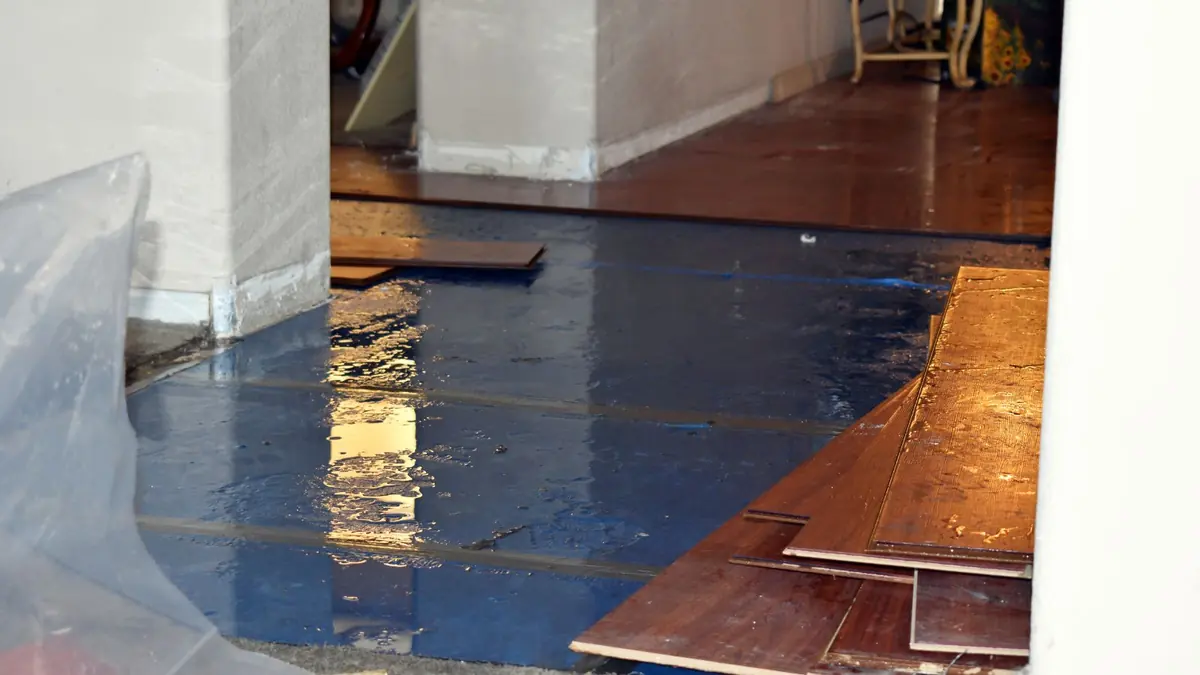 Hardwood floor boards lifted and covered after water damage