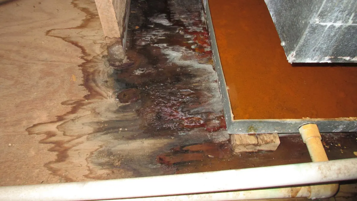Water damaged wood flooring with layers peeling and staining
